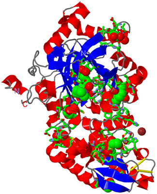 Image Asym./Biol. Unit - sites