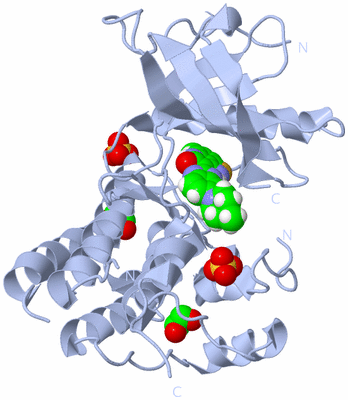 Image Biological Unit 1