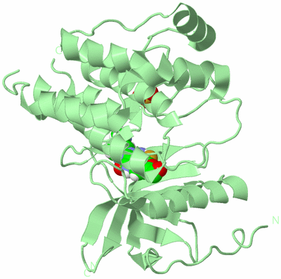 Image Biological Unit 2