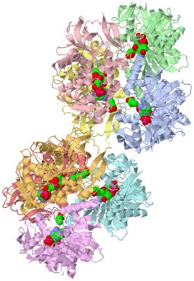 Image Asymmetric Unit