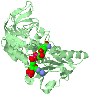 Image Biological Unit 2