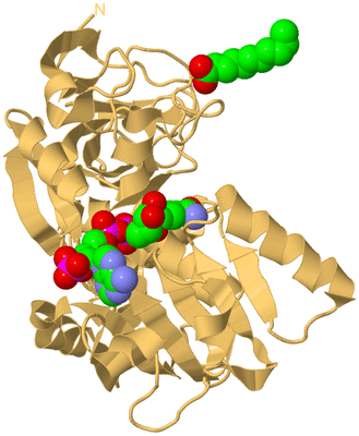 Image Biological Unit 7