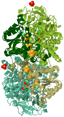 Image Asym./Biol. Unit