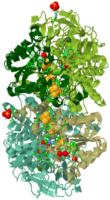 Image Asym./Biol. Unit - sites