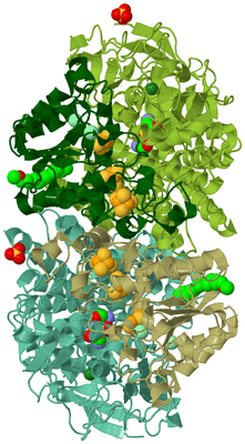 Image Asym./Biol. Unit