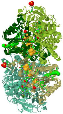 Image Asym./Biol. Unit - sites