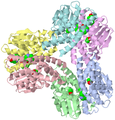 Image Asym./Biol. Unit