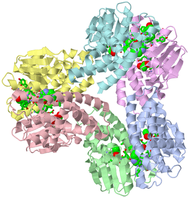 Image Asym./Biol. Unit - sites