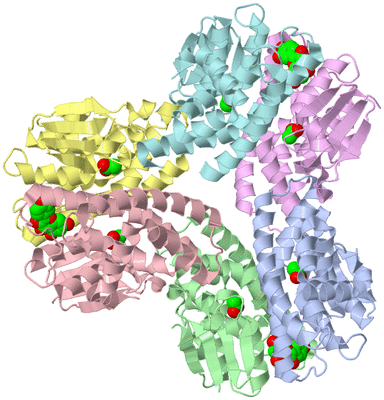 Image Asym./Biol. Unit