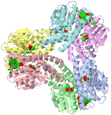 Image Asym./Biol. Unit - sites