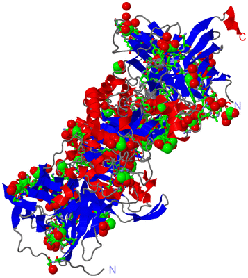 Image Asym./Biol. Unit - sites