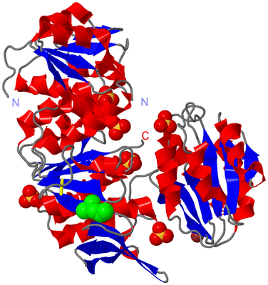 Image Asym./Biol. Unit