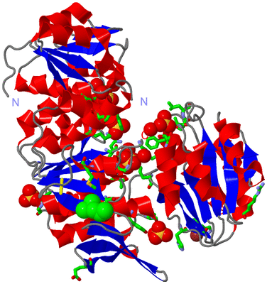 Image Asym./Biol. Unit - sites