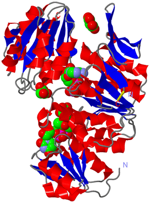 Image Asym./Biol. Unit