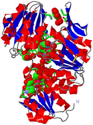 Image Asym./Biol. Unit - sites