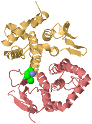 Image Biological Unit 2