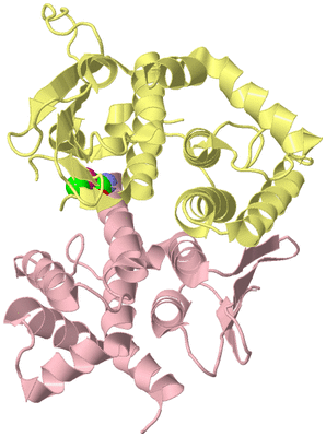 Image Biological Unit 3