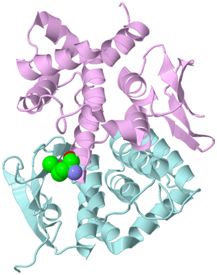 Image Biological Unit 4