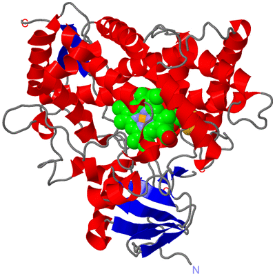 Image Asym./Biol. Unit