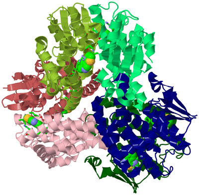 Image Biol. Unit 1 - sites