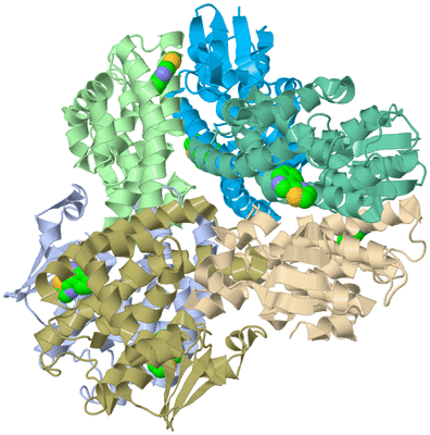 Image Biological Unit 2