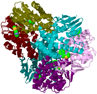 Image Biological Unit 3