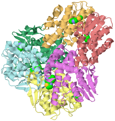 Image Biological Unit 4