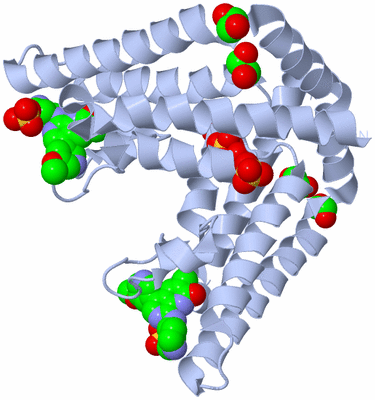 Image Biological Unit 1