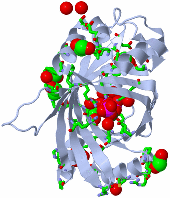 Image Biol. Unit 1 - sites