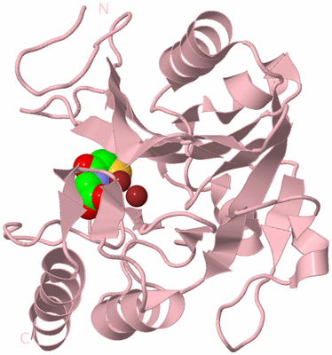 Image Biological Unit 2