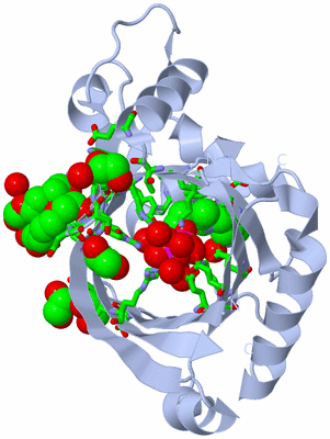 Image Biol. Unit 1 - sites