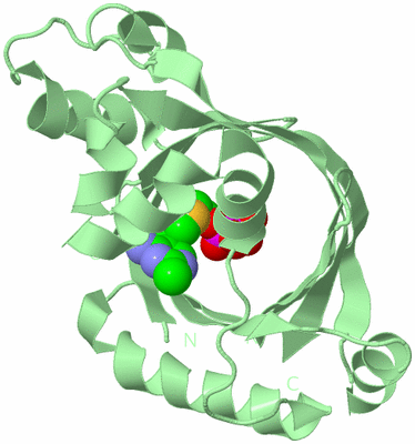 Image Biological Unit 2