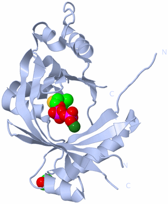 Image Biological Unit 1