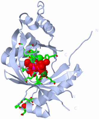 Image Biol. Unit 1 - sites