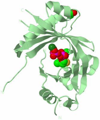 Image Biological Unit 2