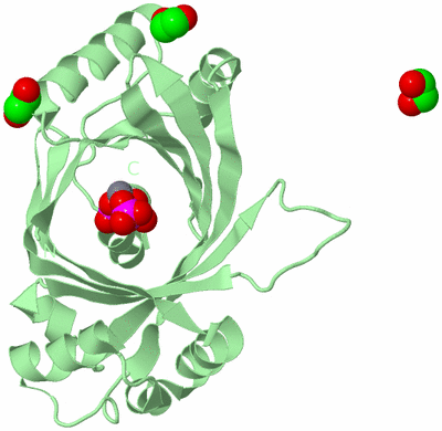 Image Biological Unit 2