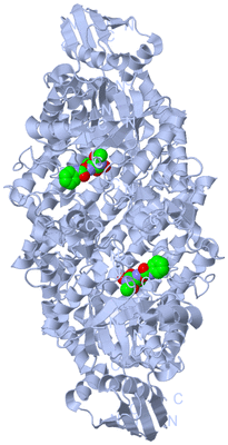 Image Biological Unit 1