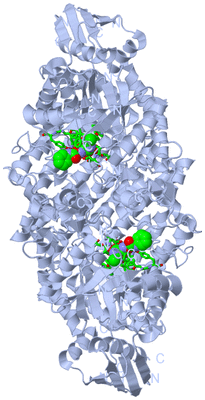 Image Biol. Unit 1 - sites