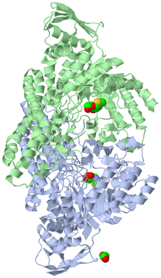 Image Asym./Biol. Unit