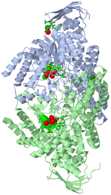 Image Biol. Unit 1 - sites