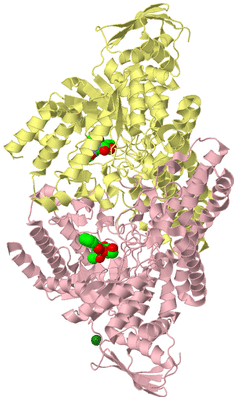 Image Biological Unit 2