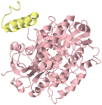 Image Asym./Biol. Unit