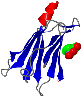 Image Asymmetric Unit