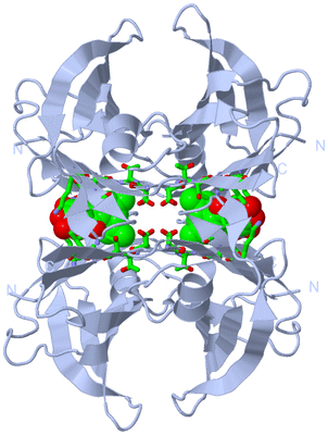 Image Biol. Unit 1 - sites