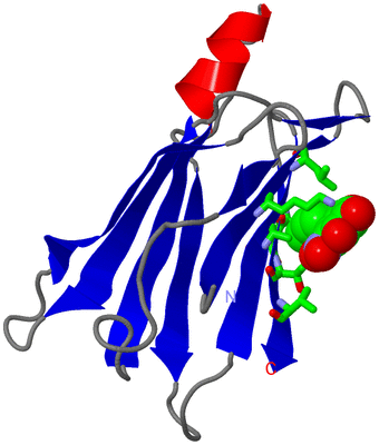 Image Asym. Unit - sites