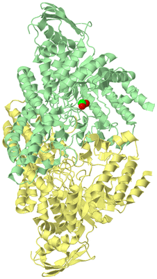 Image Biological Unit 3