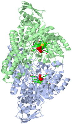 Image Asym./Biol. Unit - sites