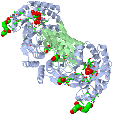 Image Biol. Unit 1 - sites