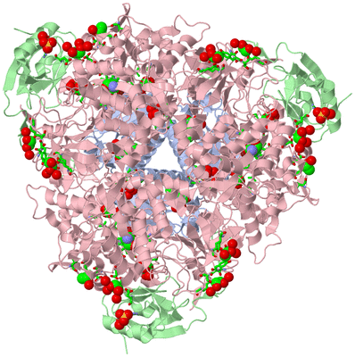 Image Biol. Unit 1 - sites