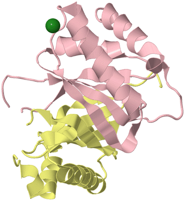 Image Biological Unit 2